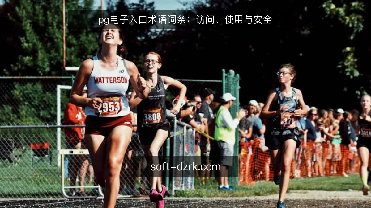 pg电子入口术语词条:访问、使用与安全