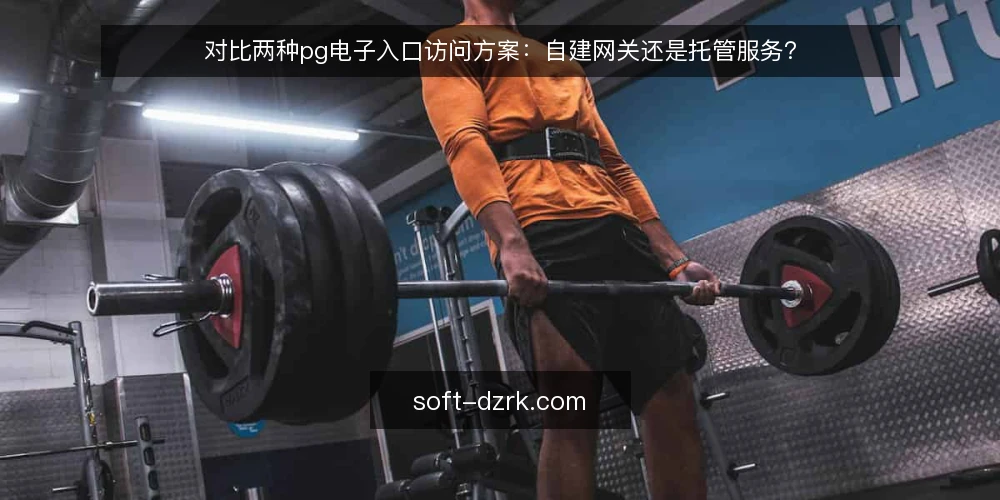 对比两种pg电子入口访问方案:自建网关还是托管服务? — 为什么现在需要审计访问方案 配图