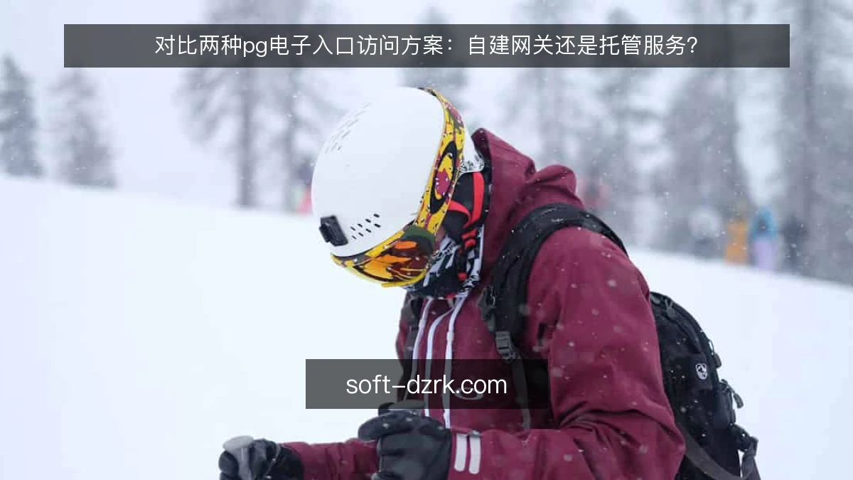 对比两种pg电子入口访问方案:自建网关还是托管服务?