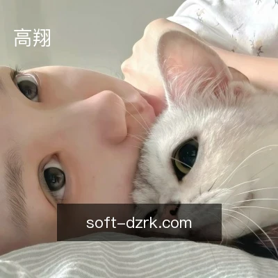 高翔